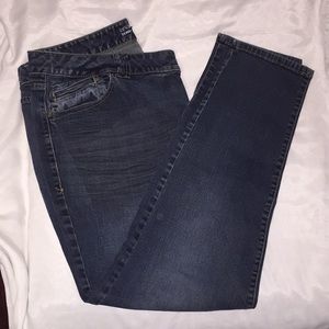 Lane Bryant Genius Fit Skinny Jeans